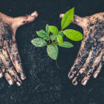 Animal Habitats Student Collaboration Presentation Green (5)